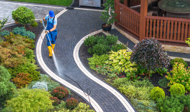 Best Affordable Pressure Washing  in Le Sueur, MN